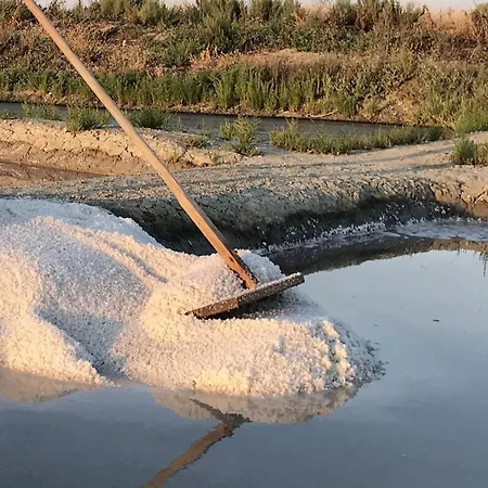 Maison Pour 10, Acces Direct A La 阿尔桑雷