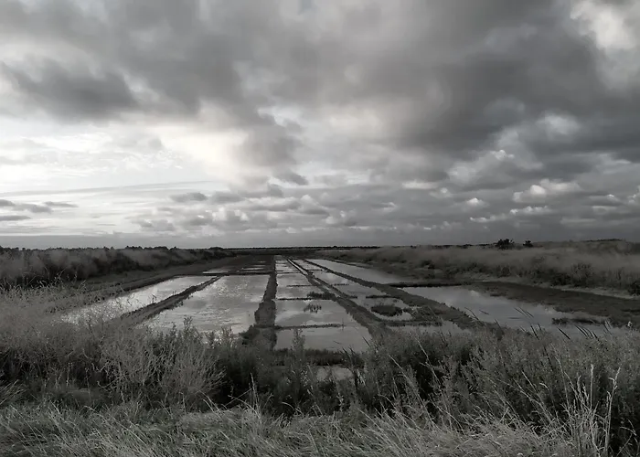 Maison Pour 10, Acces Direct A La