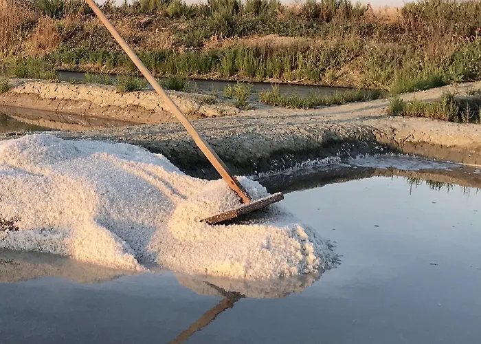 Maison Pour 10, Acces Direct A La Ars-en-Ré
